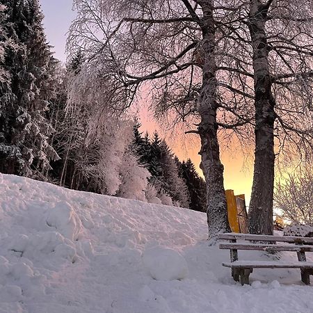Luserblick Haus im Ennstal Bagian luar foto