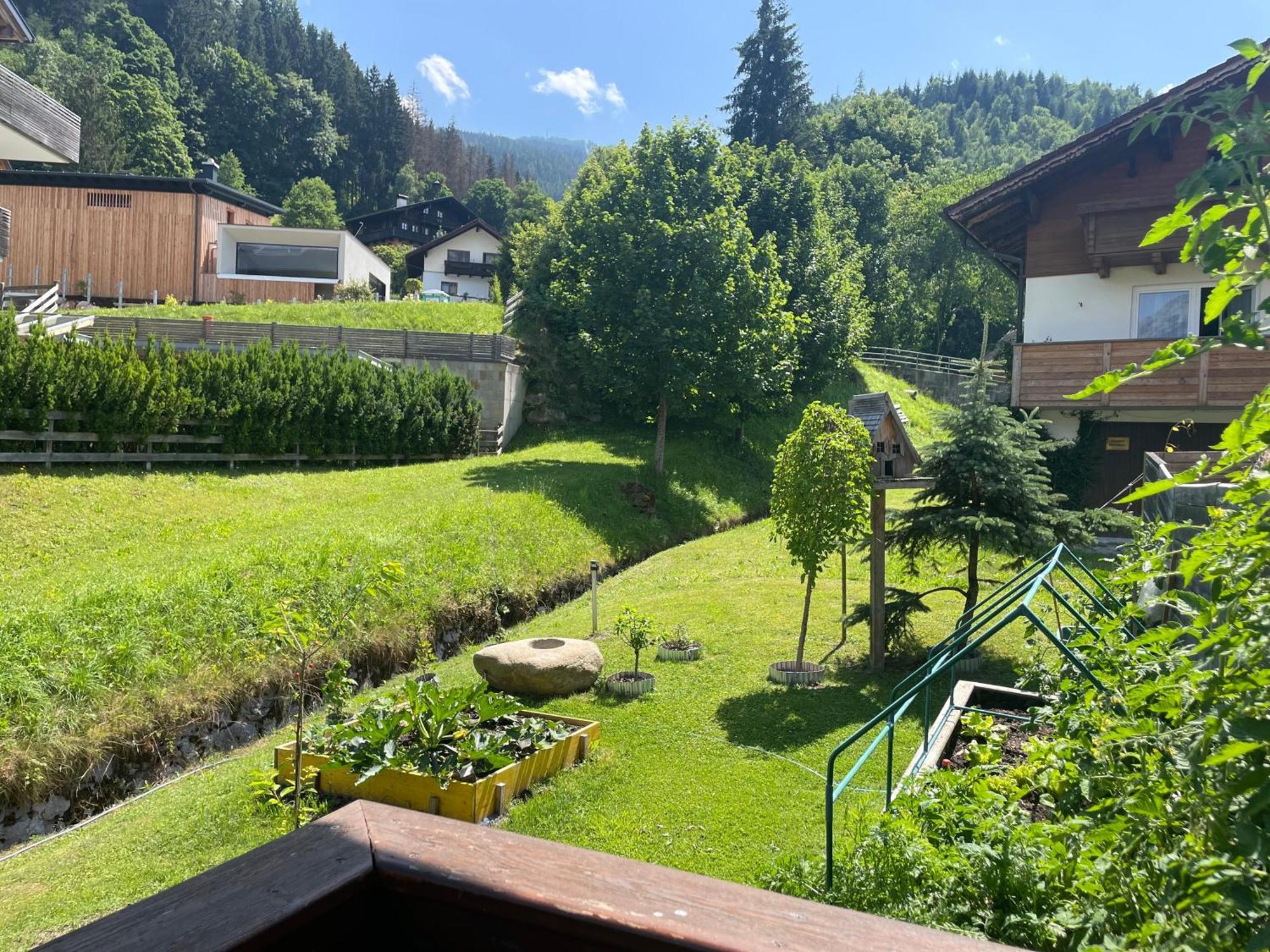 Luserblick Haus im Ennstal Bagian luar foto